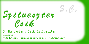 szilveszter csik business card